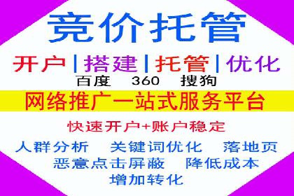 SEM代理助力品牌：案例解析，优化策略全揭秘