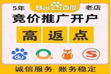 SEM代运营经典案例：提升品牌影响力