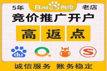 百度SEO推广：从零到一的成长案例